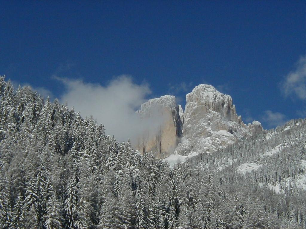 Col Rodella Apartment Campitello di Fassa Bilik gambar